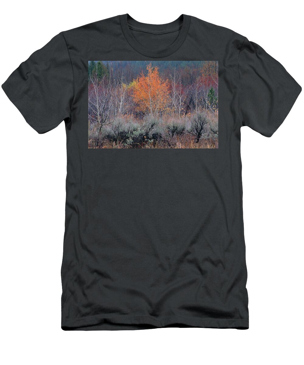 Inspirational T-Shirt featuring the photograph The Last Aspen of the Season, Wyoming by Bonnie Colgan