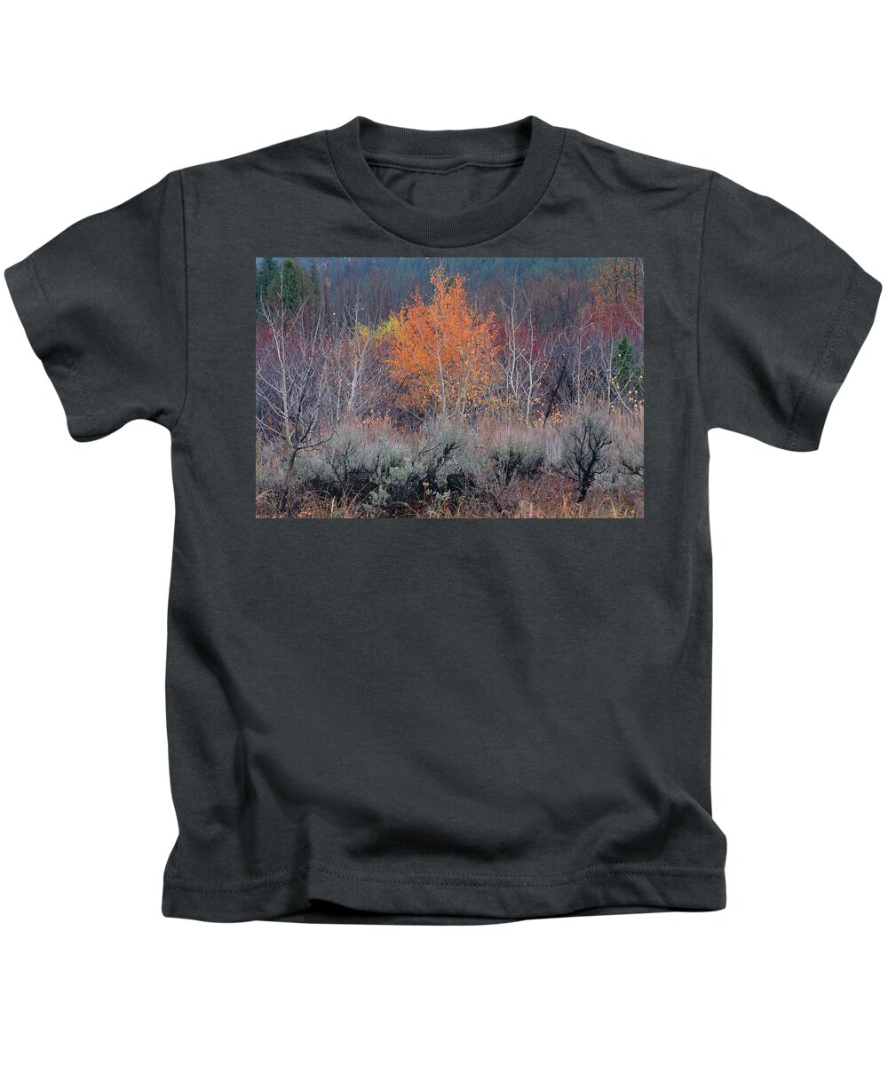 Inspirational Kids T-Shirt featuring the photograph The Last Aspen of the Season, Wyoming by Bonnie Colgan