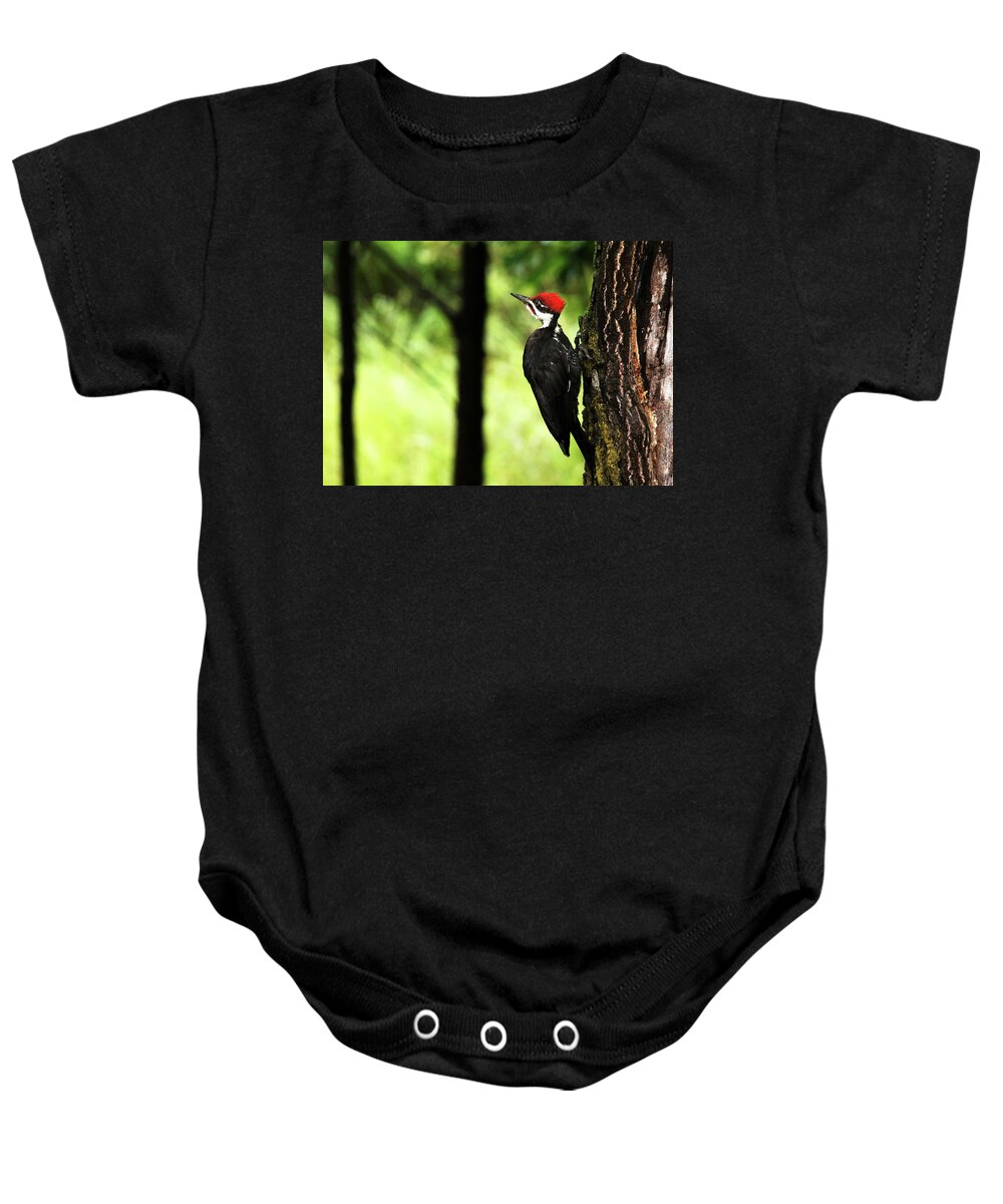 Pileated Woodpecker Baby Onesie featuring the photograph Woody Woodpecker by Debbie Oppermann