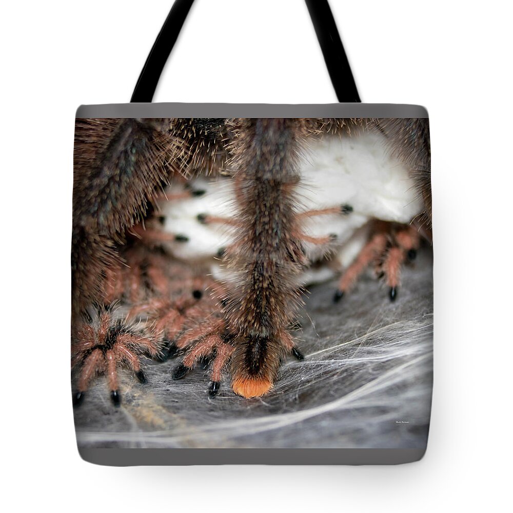 #naturephotography Tote Bag featuring the photograph Pink-toe Tarantula Spiderlings #2 by Mark Berman
