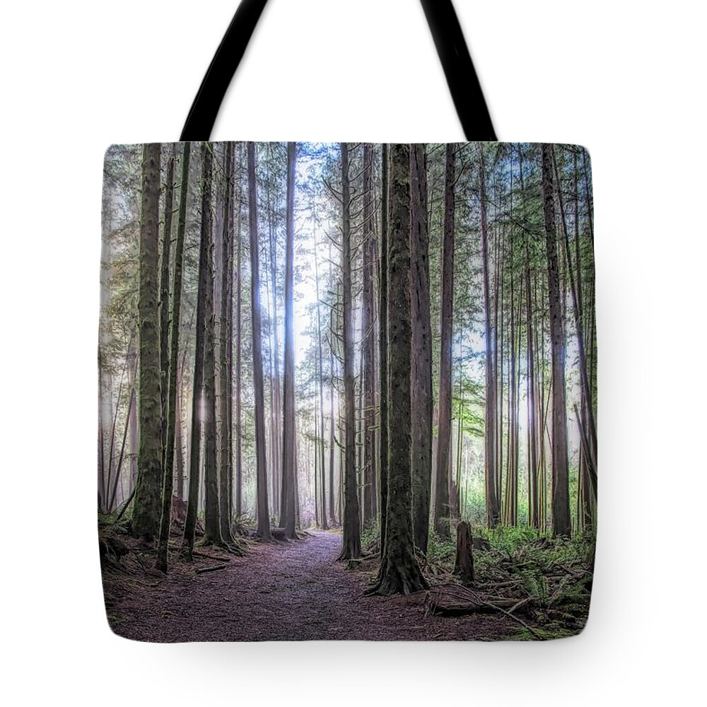 Landscape Tote Bag featuring the photograph A Path Through Old Growth Stylized by Allan Van Gasbeck