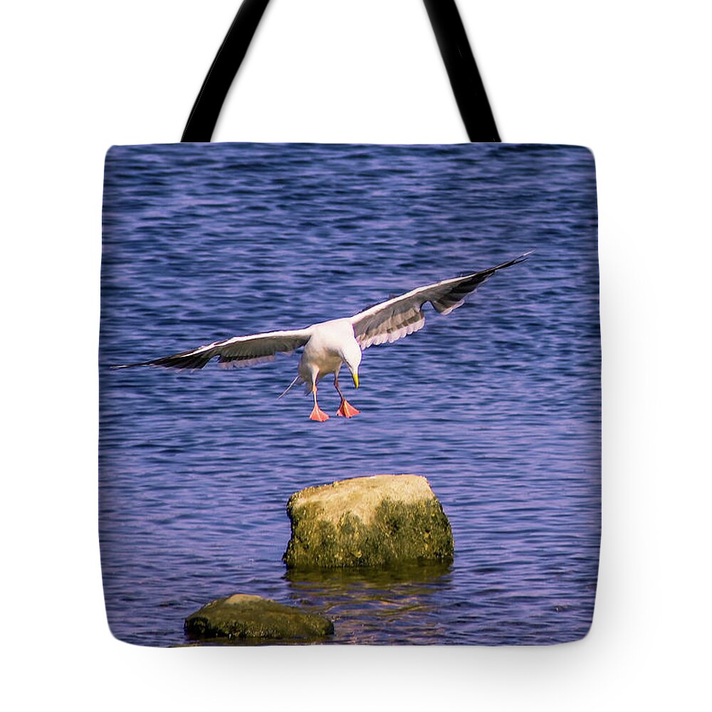 Birds Tote Bag featuring the photograph Aerial Assault by Marcus Jones