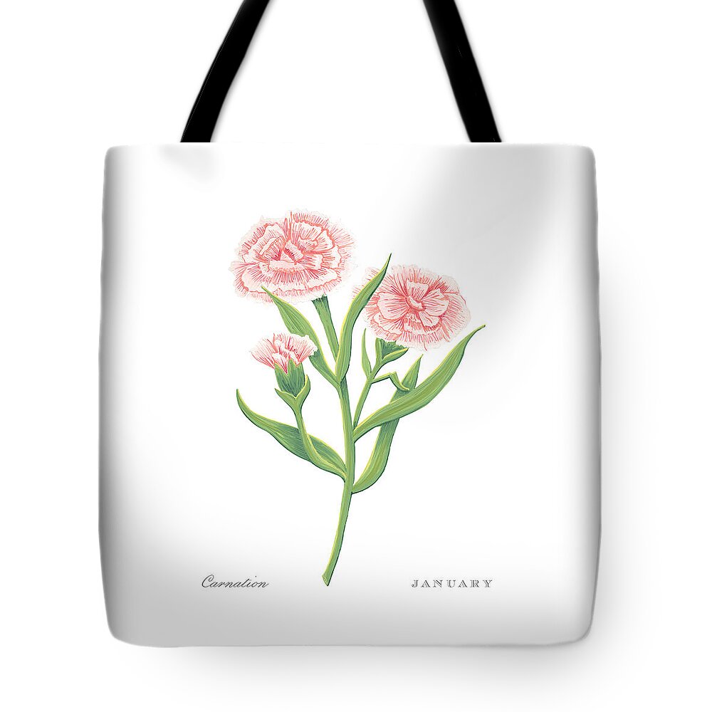 Carnation Tote Bag featuring the painting Carnation January Birth Month Flower Botanical Print on White - Art by Jen Montgomery by Jen Montgomery