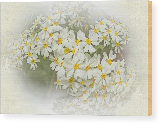 Flowers Wood Print featuring the photograph Wormwood Flower 2 by Elaine Teague
