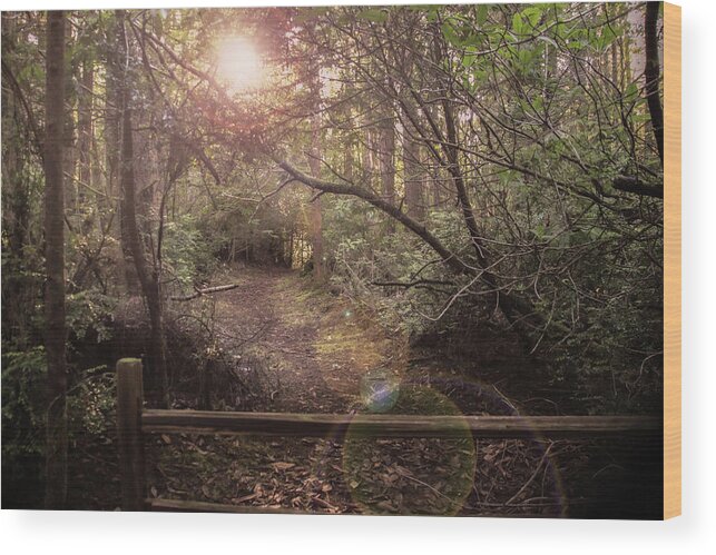 South Slough Estuary Wood Print featuring the photograph The Way to the Rabbit Hole by Sally Bauer