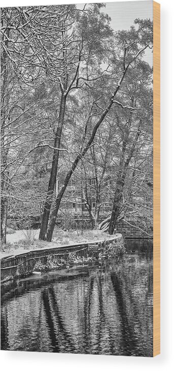Winter Morning Bw Wood Print featuring the photograph winter morning BW #k6 by Leif Sohlman