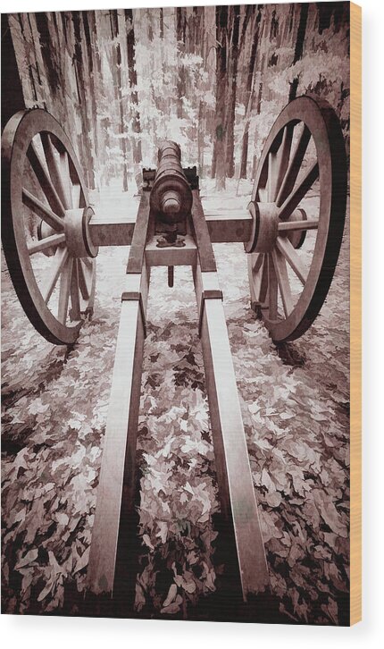 North Carolina Wood Print featuring the photograph The Fight for Freedom by Dan Carmichael