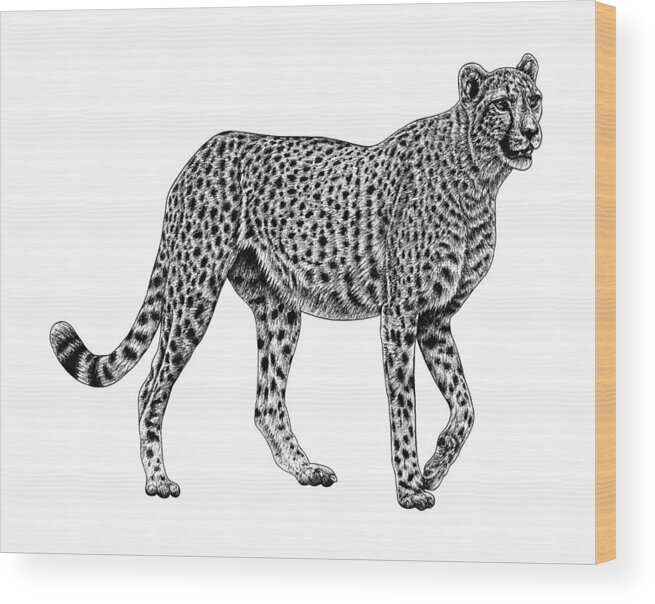 Chetah Wood Print featuring the drawing African cheetah big cat ink illustration by Loren Dowding