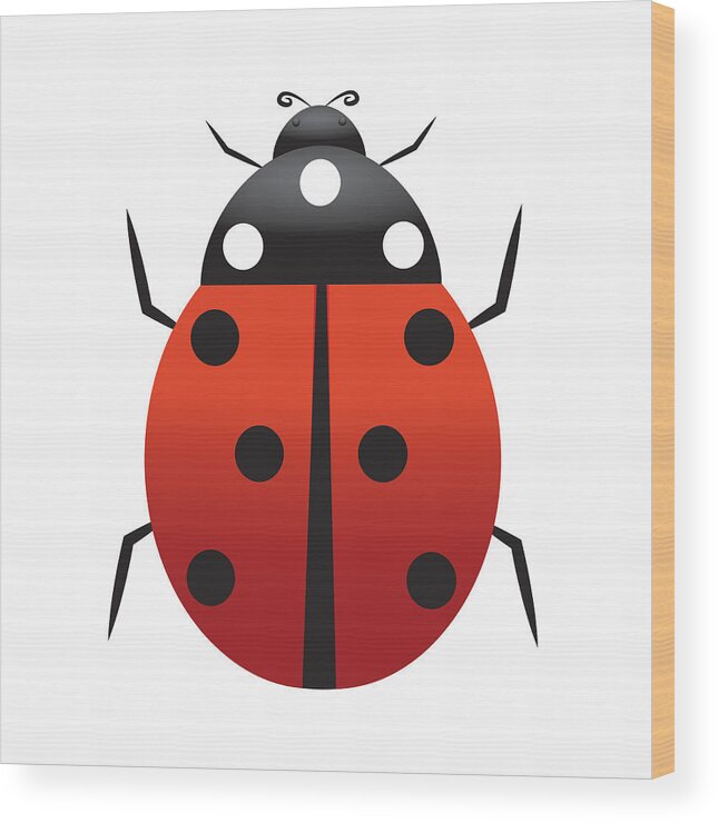 Ladybugs Wood Print featuring the digital art Ladybugs by David Millenheft