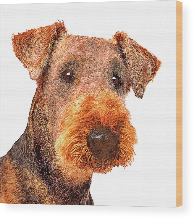 Airedale Wood Print featuring the painting Totally Adorable, Airedale Terrier Dog by Custom Pet Portrait Art Studio