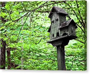 Birdhouse Among Nature's Birdhouses Photograph by Sherry Curry