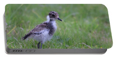 Lapwing Portable Battery Chargers