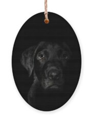 Man's Best Friend Holiday Ornaments