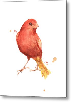 Canary Metal Prints for Sale