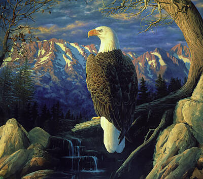 Bald Eagle Original Artwork