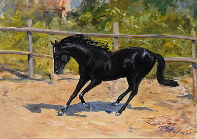 Queen -  Black Horse by Sefedin Stafa