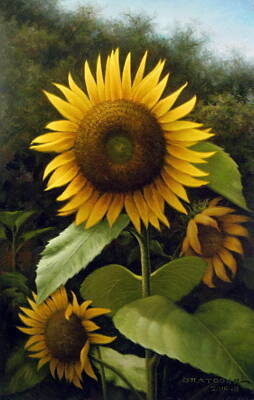 Sunflowers Paintings -  Sunflower 3 by Yoo Choong Yeul