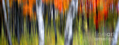 Abstract Landscape Photos - 0899 Fall Color Abstract by Steve Sturgill
