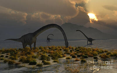 Fantasy Royalty-Free and Rights-Managed Images - A Herd Of Omeisaurus Sauropod Dinosaurs by Mark Stevenson