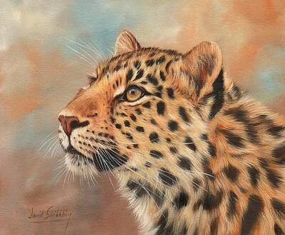 Beaches And Waves - Amur Leopard by David Stribbling
