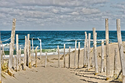 Beach Digital Art - Beach at Cape cod by Patricia Hofmeester
