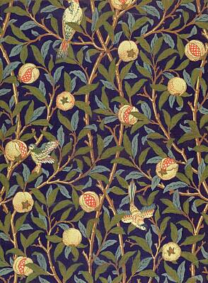 Birds Royalty-Free and Rights-Managed Images - Bird And Pomegranate by William Morris