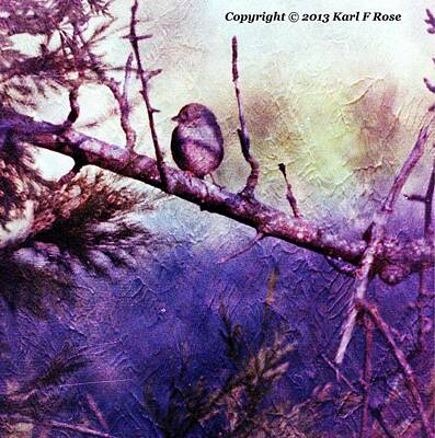 Abstract Landscape Photos - Bird in tree by Karl Rose
