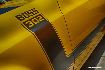 Paint Brush - Boss 302 by Tommy Anderson