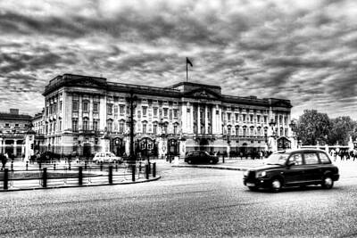 Red Foxes - Buckingham Palace  by David Pyatt