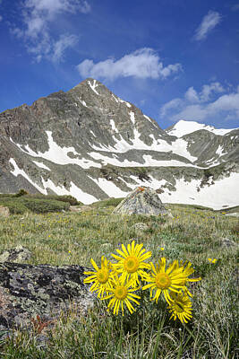 Antlers - Colorado Wildflower Images - Old Man of the Mouintain and  Cryst by Rob Greebon