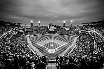 Mother And Child Animals - Comiskey Park Night Game - Black and White by Anthony Doudt