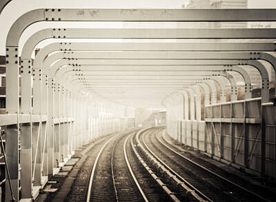 Black And White Horse Photography - DLR Ride to Deptford by Lenny Carter