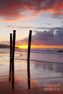 Fine Dining - Dunedin St Clair Beach at Sunrise by Colin and Linda McKie