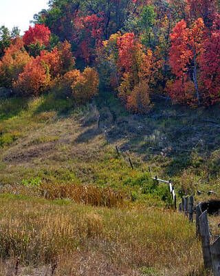 Jerry Sodorff Royalty-Free and Rights-Managed Images - Fall Fence Line 12052 by Jerry Sodorff
