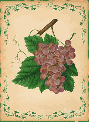 Nightscapes - Grapes Illustration by Indian Summer