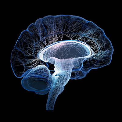 Abstract Royalty Free Images - Human brain complexity Royalty-Free Image by Johan Swanepoel