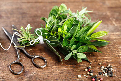 Still Life Photos - Kitchen Herbs by Nailia Schwarz