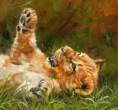 Animals Paintings - Lion Cub by David Stribbling