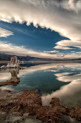 Mammals Royalty Free Images - Mono Lake Royalty-Free Image by Cat Connor