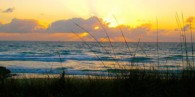 Marvelous Marble Royalty Free Images - Palm Beach Sunrise Royalty-Free Image by Alan Metzger