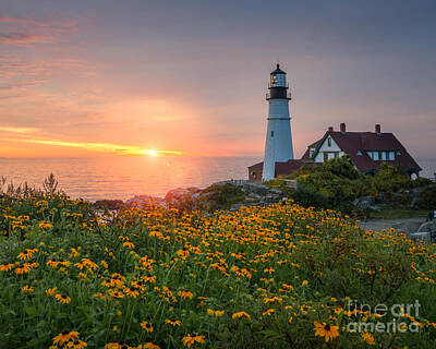 Sunflowers Royalty-Free and Rights-Managed Images - Portland Head Light Sunrise  by Michael Ver Sprill