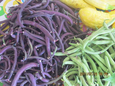 Circle Abstracts - Purple And Green Beans by Tina M Wenger