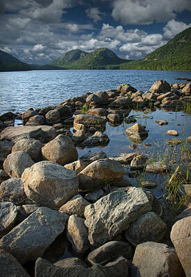 Randall Nyhof Royalty-Free and Rights-Managed Images - Rocky Shoreline in Acadia National Park by Randall Nyhof