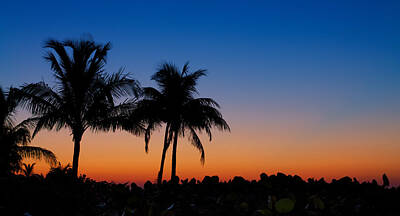 Robert Bellomy Royalty-Free and Rights-Managed Images - Sanibel Island Florida Sunset by Robert Bellomy