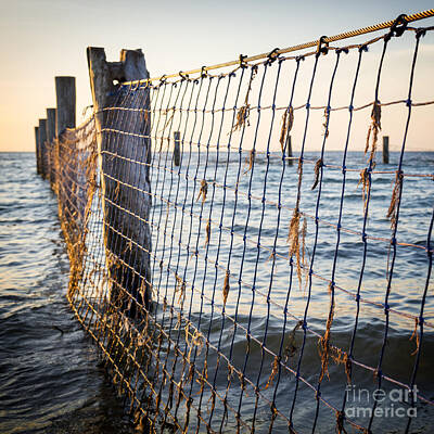 Modern Sophistication Beaches And Waves - Seaside Nets by THP Creative
