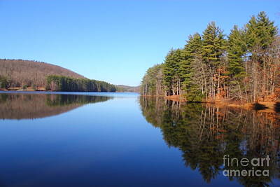Seascapes Larry Marshall - Stillwater Pond by Jesse Ciazza