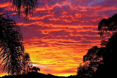 Science Collection - Stunning Sunset by Darren Burton