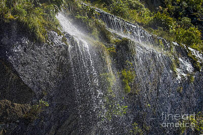 Road Trip Royalty Free Images - Waterfall Doubtful Sounds New Zealand Royalty-Free Image by Patricia Hofmeester