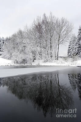 Royalty-Free and Rights-Managed Images - Winter Landscape by Michal Boubin