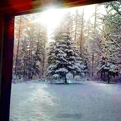 Rustic Cabin - Winters beauty by Bethany Shreffler 
